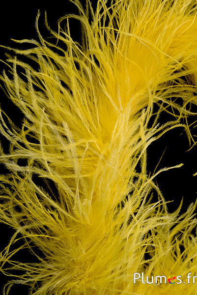 Autruche mèche - 10 cm - jaune